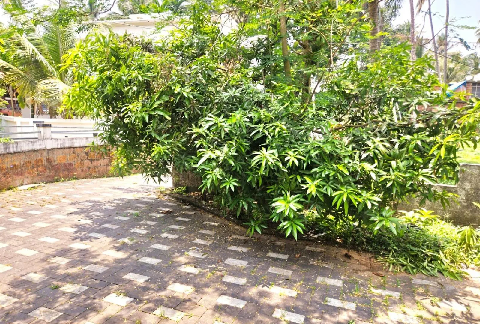 Peaceful Perch Villa Kozhikode India