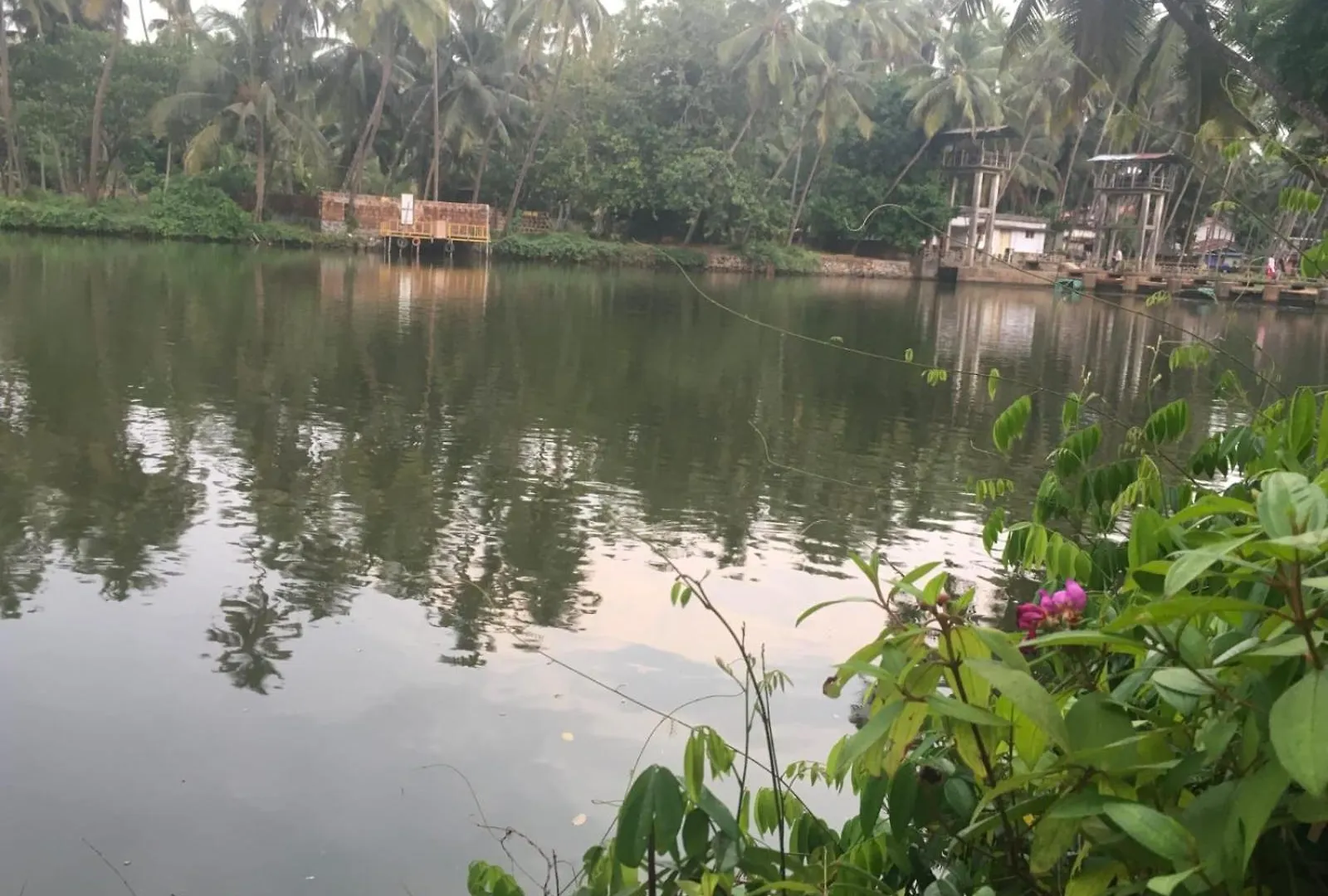 Peaceful Perch Villa Kozhikode